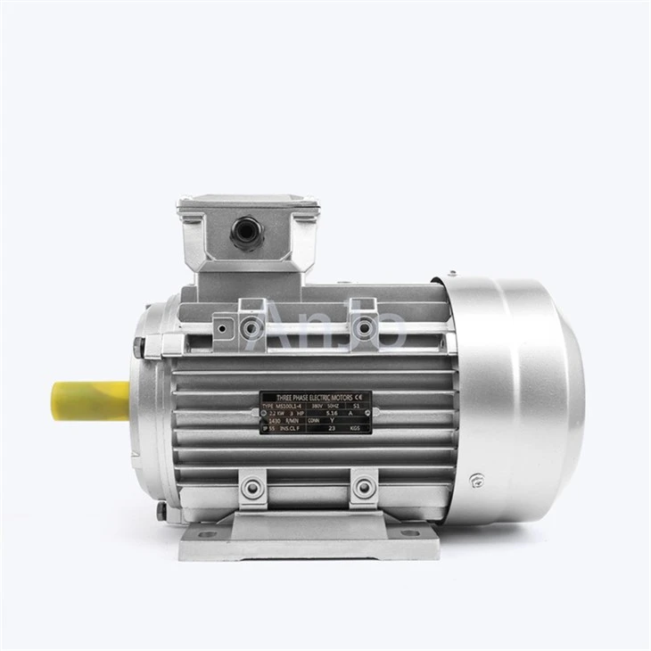 3 Phase Ac Electric Motor