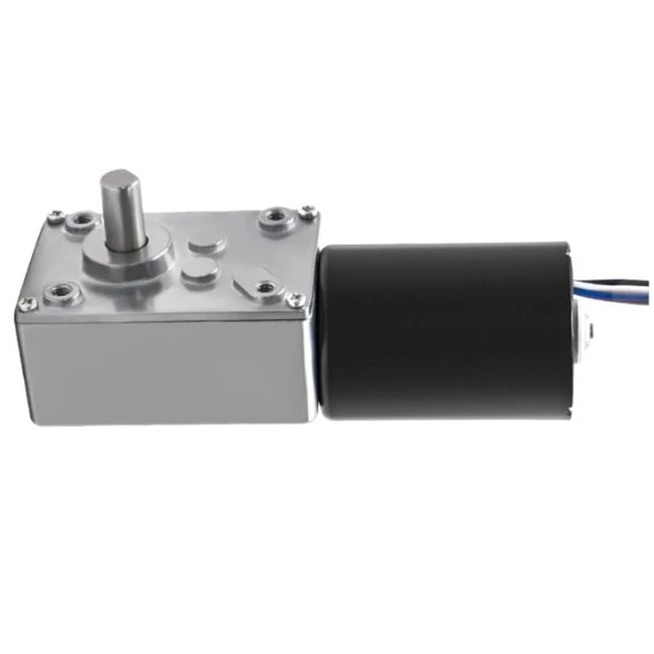 BLDC worm gear motor BLDC worm gear motor