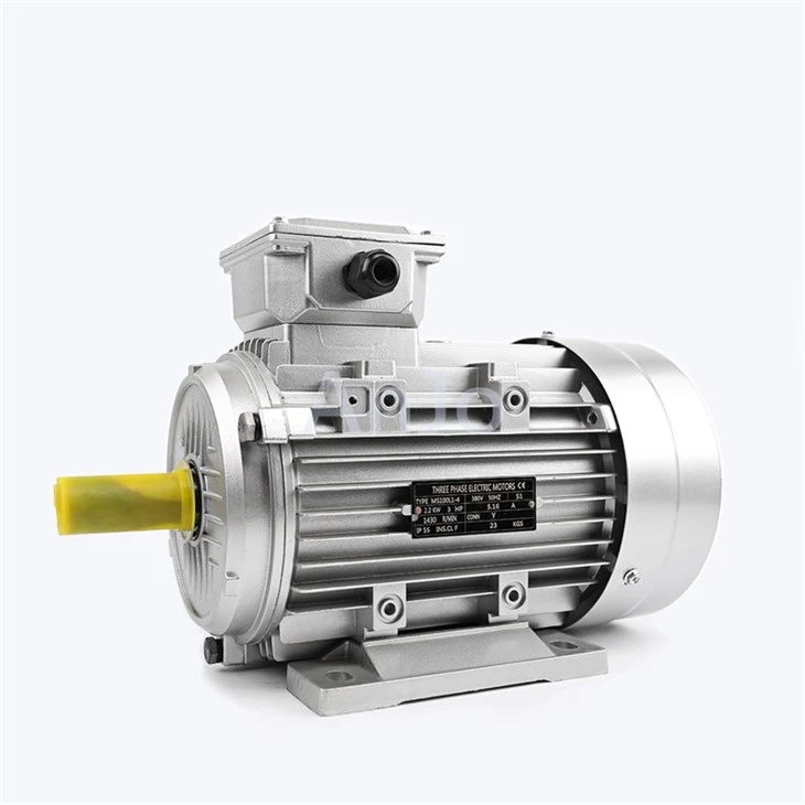 IEC Electric Motors